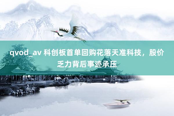 qvod_av 科创板首单回购花落天准科技，股价乏力背后事迹承压
