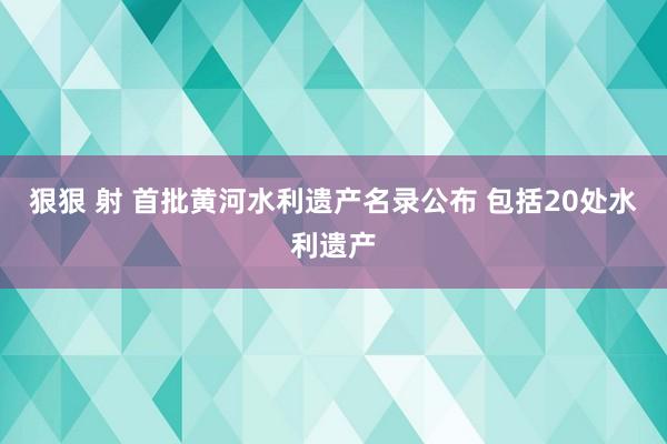 狠狠 射 首批黄河水利遗产名录公布 包括20处水利遗产