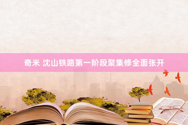 奇米 沈山铁路第一阶段聚集修全面张开