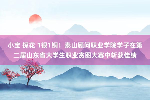 小宝 探花 1银1铜!泰山顾问职业学院学子在第二届山东省大学生职业贪图大赛中斩获佳绩