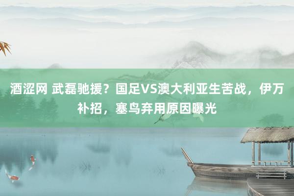 酒涩网 武磊驰援？国足VS澳大利亚生苦战，伊万补招，塞鸟弃用原因曝光