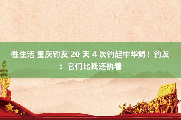 性生活 重庆钓友 20 天 4 次钓起中华鲟！钓友：它们比我还执着