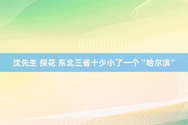 沈先生 探花 东北三省十少小了一个“哈尔滨”
