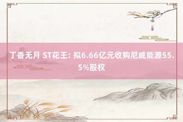 丁香无月 ST花王: 拟6.66亿元收购尼威能源55.5%股权