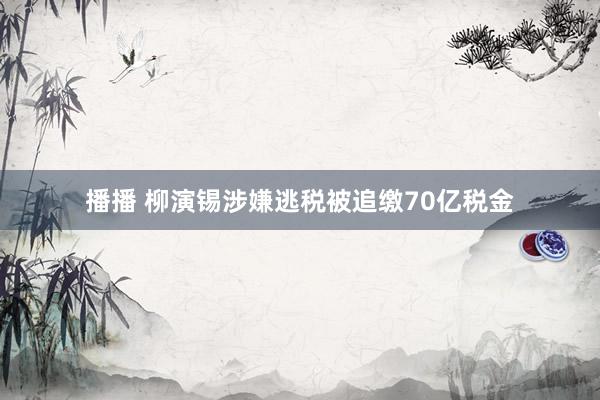 播播 柳演锡涉嫌逃税被追缴70亿税金