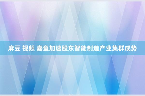 麻豆 视频 嘉鱼加速股东智能制造产业集群成势