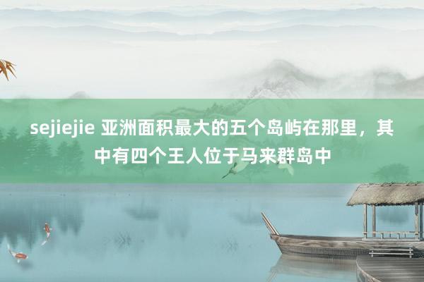 sejiejie 亚洲面积最大的五个岛屿在那里，其中有四个王人位于马来群岛中