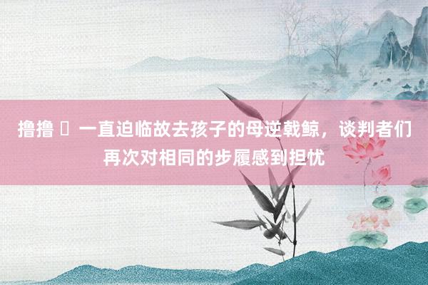 撸撸 ​一直迫临故去孩子的母逆戟鲸，谈判者们再次对相同的步履感到担忧
