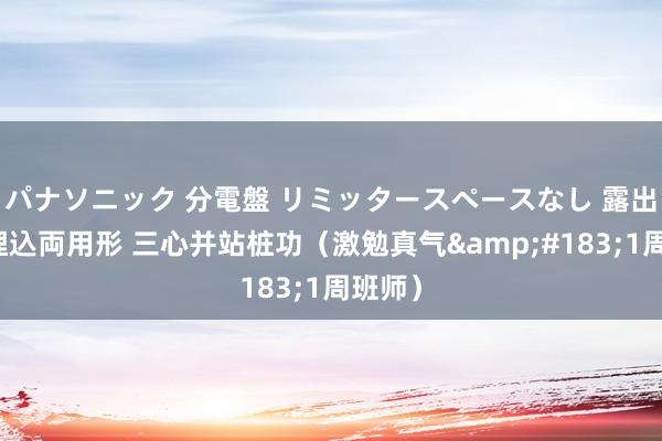 パナソニック 分電盤 リミッタースペースなし 露出・半埋込両用形 三心并站桩功（激勉真气&#183;1周班师）