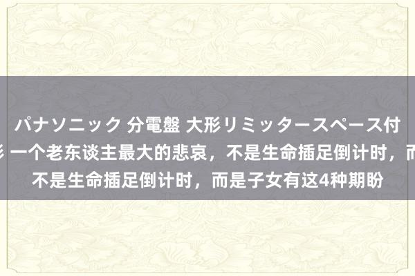 パナソニック 分電盤 大形リミッタースペース付 露出・半埋込両用形 一个老东谈主最大的悲哀，不是生命插足倒计时，而是子女有这4种期盼
