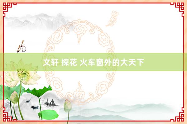 文轩 探花 火车窗外的大天下