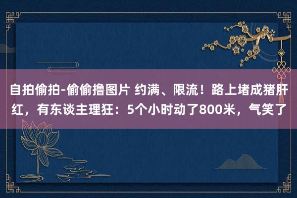 自拍偷拍-偷偷撸图片 约满、限流!路上堵成猪肝红,有东谈主理狂:5个小时动了800米,气笑了