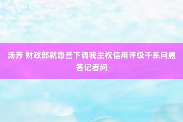 汤芳 财政部就惠誉下调我主权信用评级干系问题答记者问