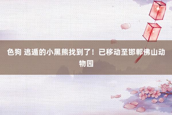 色狗 逃遁的小黑熊找到了！已移动至邯郸佛山动物园