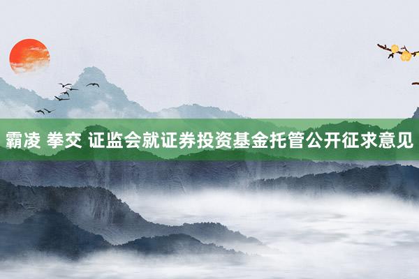 霸凌 拳交 证监会就证券投资基金托管公开征求意见